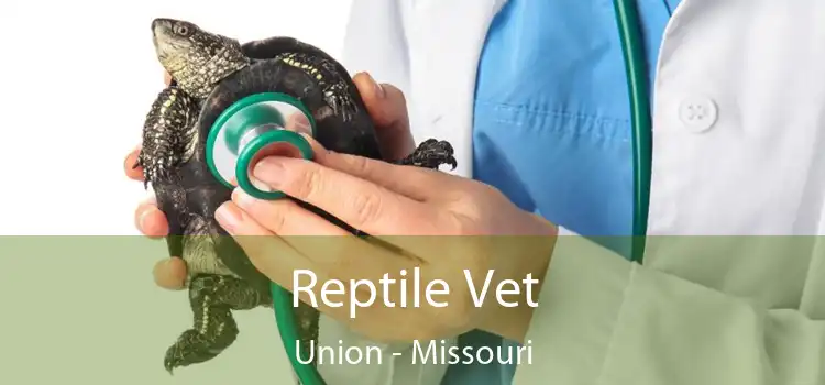 Reptile Vet Union - Missouri