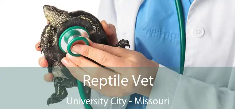 Reptile Vet University City - Missouri