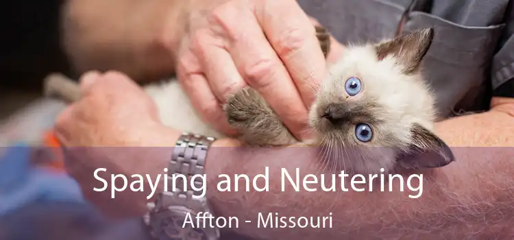 Spaying and Neutering Affton - Missouri