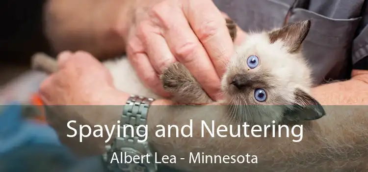 Spaying and Neutering Albert Lea - Minnesota