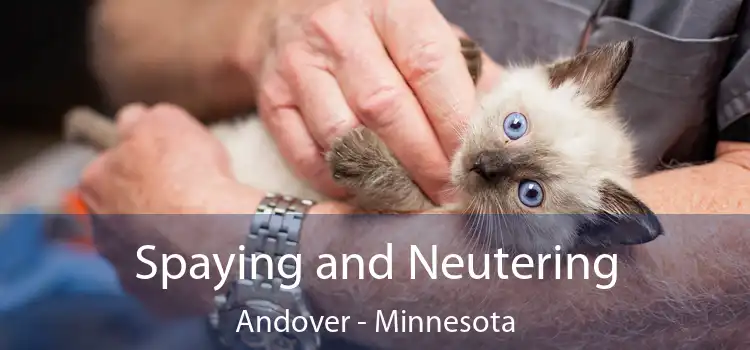 Spaying and Neutering Andover - Minnesota