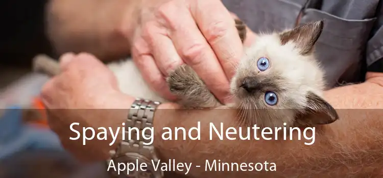 Spaying and Neutering Apple Valley - Minnesota