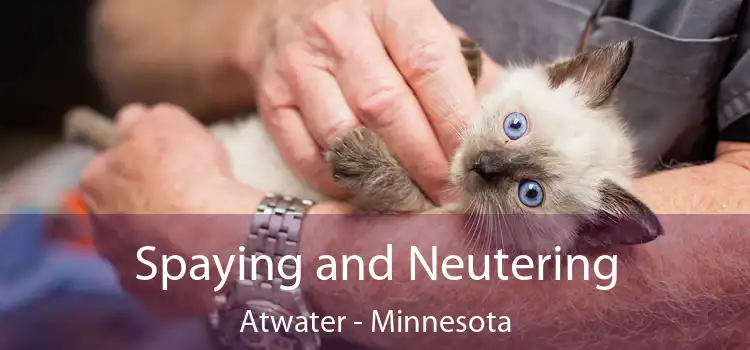 Spaying and Neutering Atwater - Minnesota