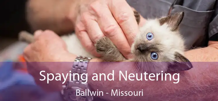 Spaying and Neutering Ballwin - Missouri