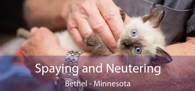 Spaying and Neutering Bethel - Minnesota