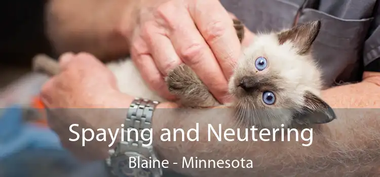 Spaying and Neutering Blaine - Minnesota