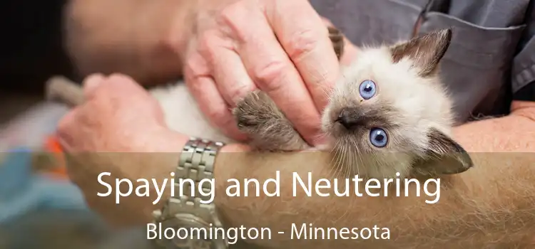 Spaying and Neutering Bloomington - Minnesota