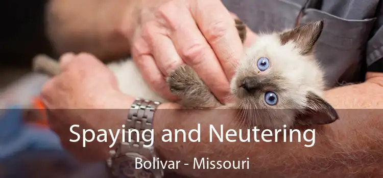 Spaying and Neutering Bolivar - Missouri