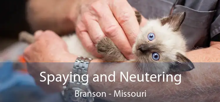 Spaying and Neutering Branson - Missouri