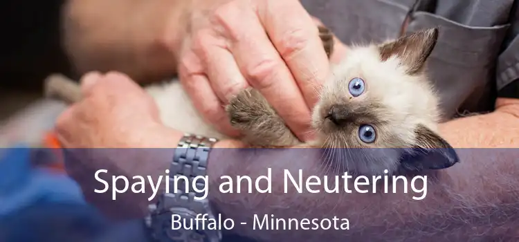 Spaying and Neutering Buffalo - Minnesota