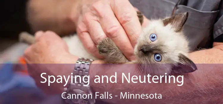 Spaying and Neutering Cannon Falls - Minnesota