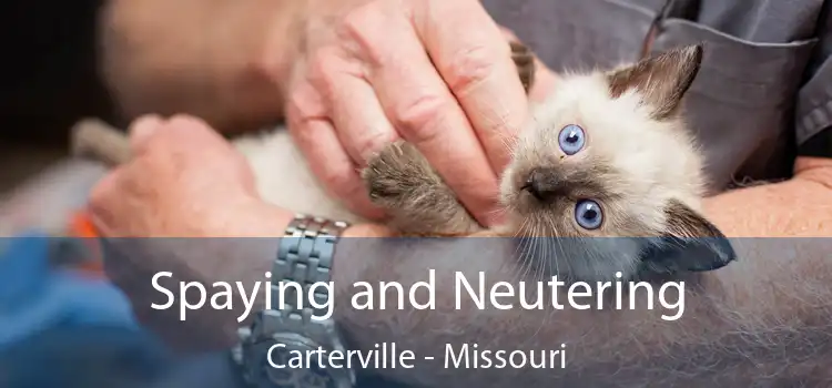 Spaying and Neutering Carterville - Missouri