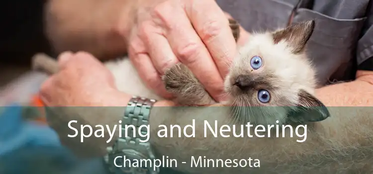 Spaying and Neutering Champlin - Minnesota