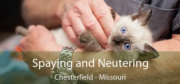 Spaying and Neutering Chesterfield - Missouri