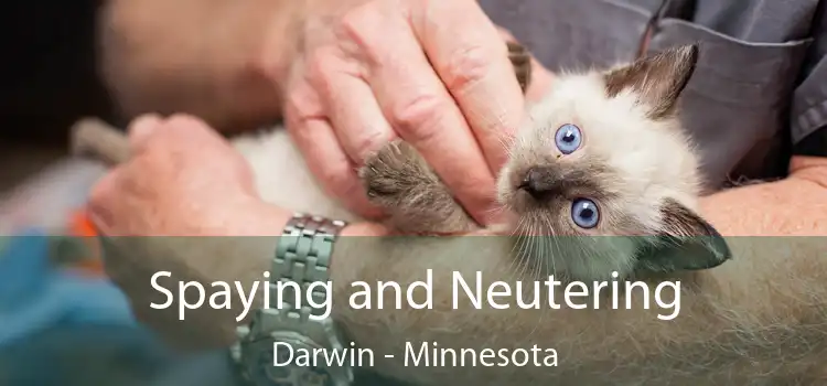 Spaying and Neutering Darwin - Minnesota