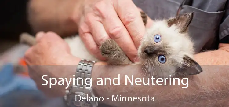 Spaying and Neutering Delano - Minnesota