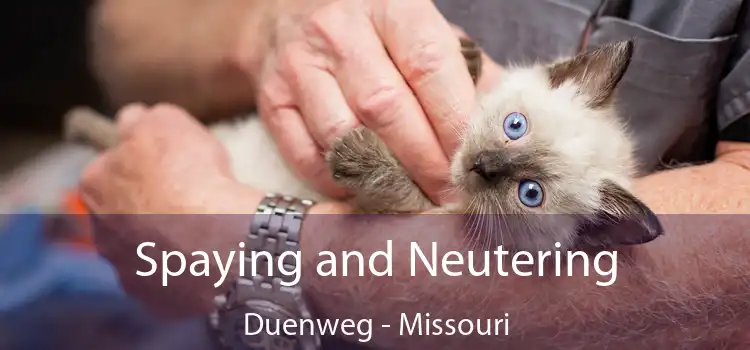 Spaying and Neutering Duenweg - Missouri