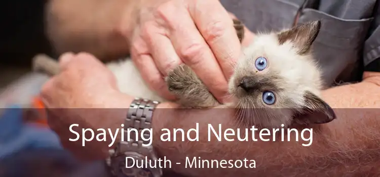 Spaying and Neutering Duluth - Minnesota