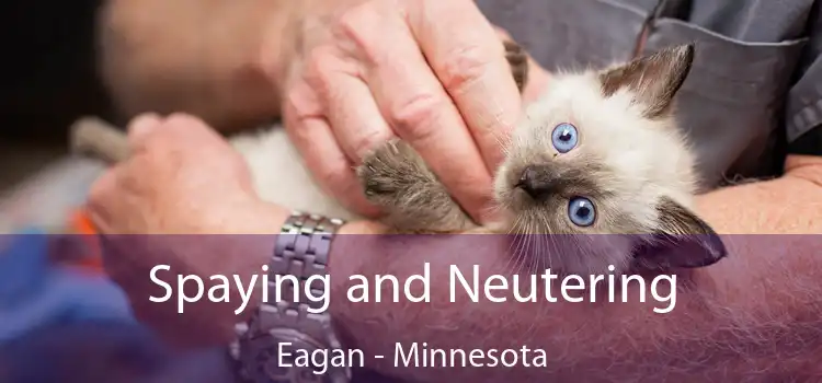 Spaying and Neutering Eagan - Minnesota