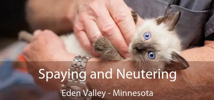 Spaying and Neutering Eden Valley - Minnesota