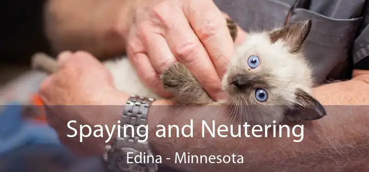 Spaying and Neutering Edina - Minnesota