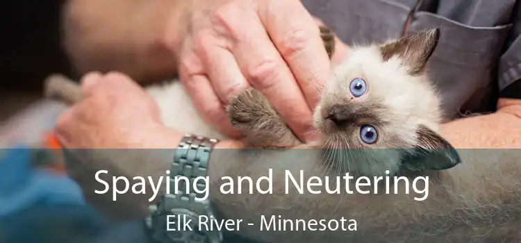 Spaying and Neutering Elk River - Minnesota