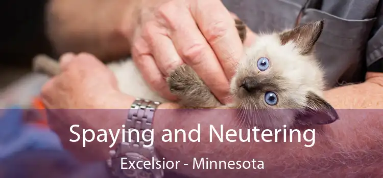 Spaying and Neutering Excelsior - Minnesota