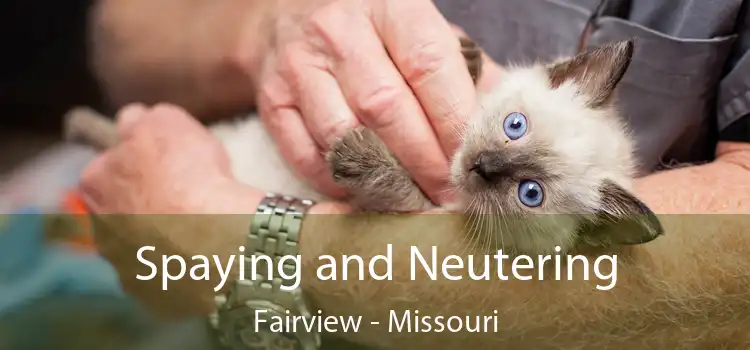 Spaying and Neutering Fairview - Missouri