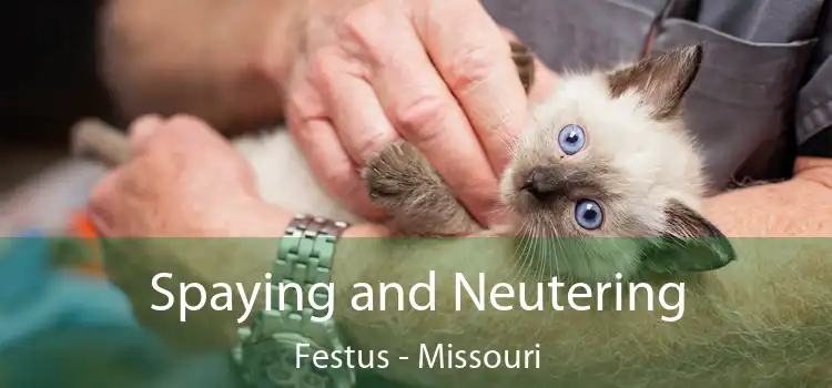 Spaying and Neutering Festus - Missouri