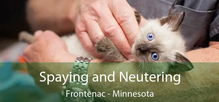 Spaying and Neutering Frontenac - Minnesota