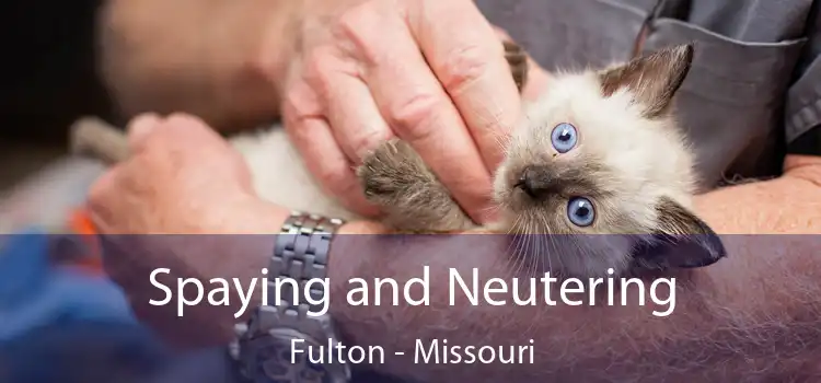 Spaying and Neutering Fulton - Missouri