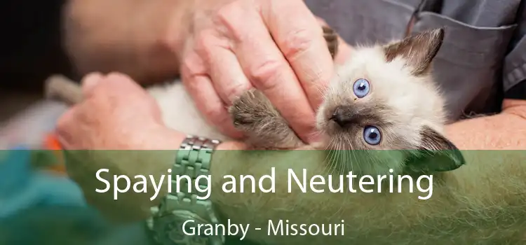 Spaying and Neutering Granby - Missouri