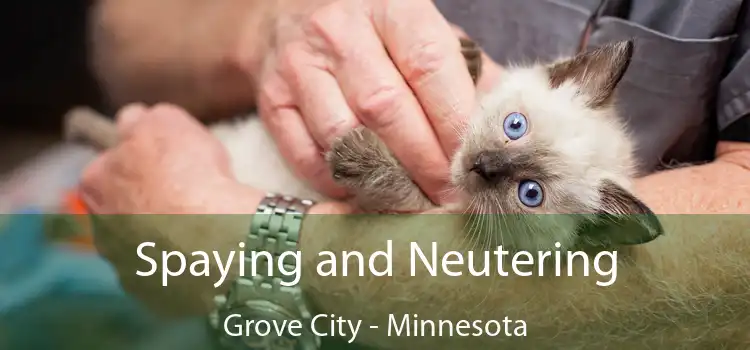 Spaying and Neutering Grove City - Minnesota