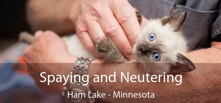 Spaying and Neutering Ham Lake - Minnesota