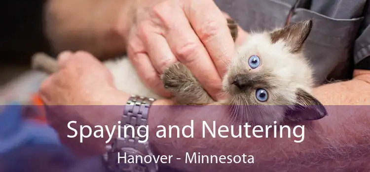 Spaying and Neutering Hanover - Minnesota