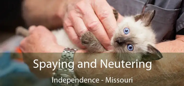 Spaying and Neutering Independence - Missouri