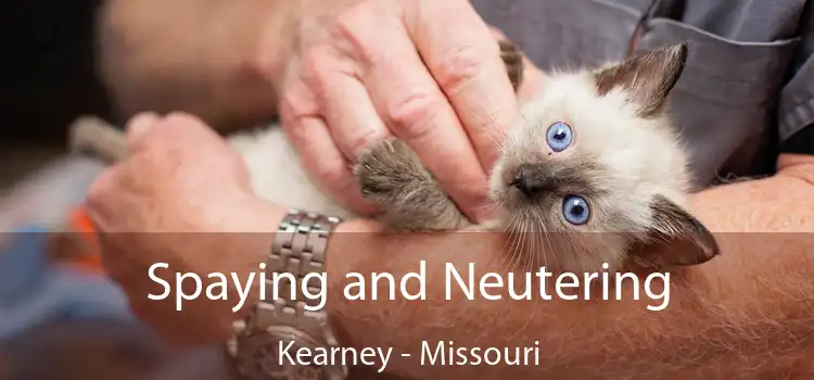 Spaying and Neutering Kearney - Missouri