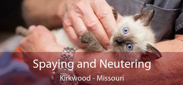 Spaying and Neutering Kirkwood - Missouri