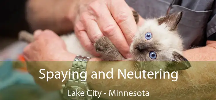 Spaying and Neutering Lake City - Minnesota