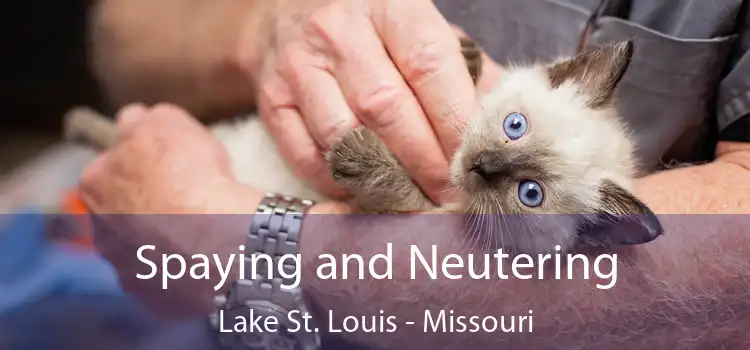 Spaying and Neutering Lake St. Louis - Missouri