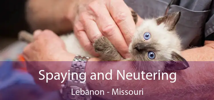 Spaying and Neutering Lebanon - Missouri