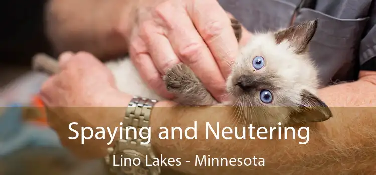 Spaying and Neutering Lino Lakes - Minnesota