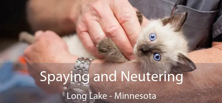 Spaying and Neutering Long Lake - Minnesota