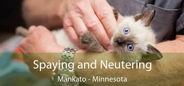 Spaying and Neutering Mankato - Minnesota