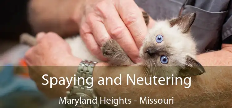 Spaying and Neutering Maryland Heights - Missouri