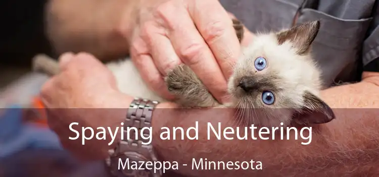 Spaying and Neutering Mazeppa - Minnesota