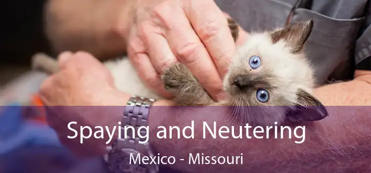 Spaying and Neutering Mexico - Missouri