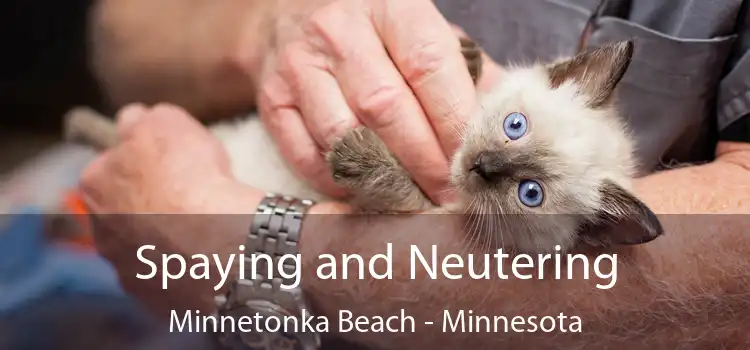 Spaying and Neutering Minnetonka Beach - Minnesota