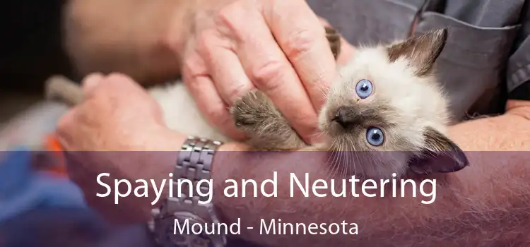 Spaying and Neutering Mound - Minnesota