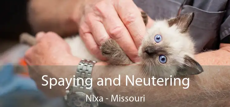 Spaying and Neutering Nixa - Missouri